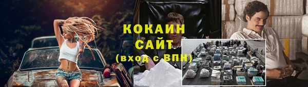 трава Аркадак