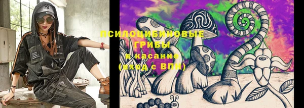 трава Аркадак