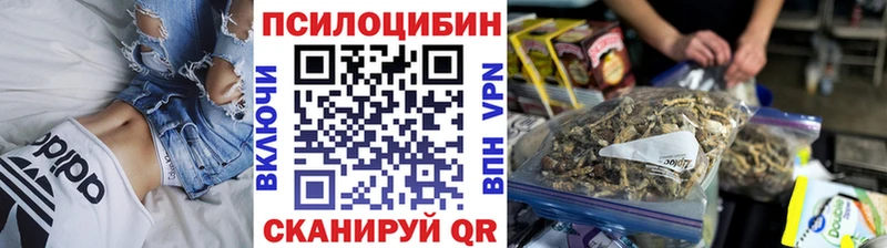 Псилоцибиновые грибы Psilocybine cubensis  купить наркоту  Красный Кут 